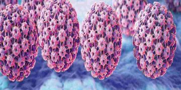 Như thế nào là virus HPV? 