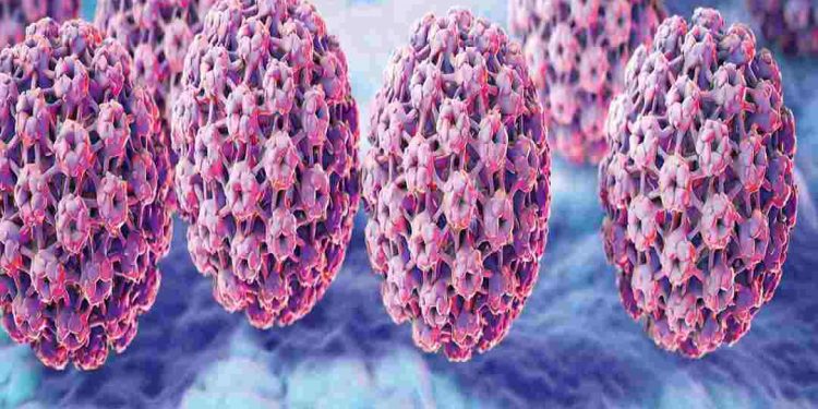 Như thế nào là virus HPV? 