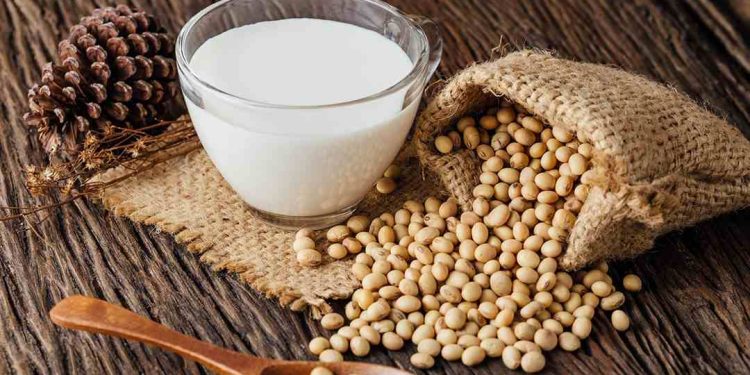 Đậu nành có thành phần dinh dưỡng dồi dào