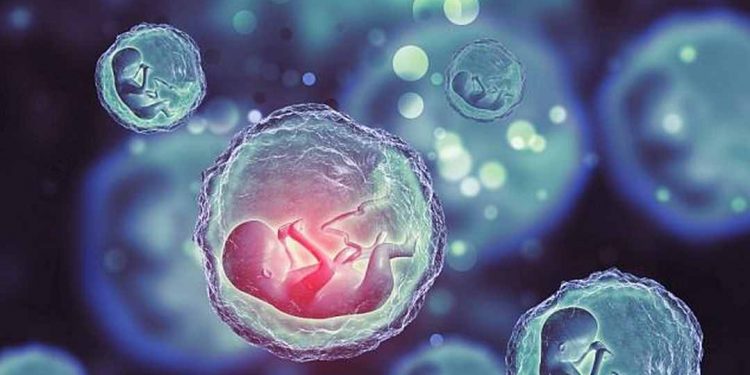 Ba và mẹ chuẩn bị tâm lý thật tốt cho lần thụ tinh thất bại 