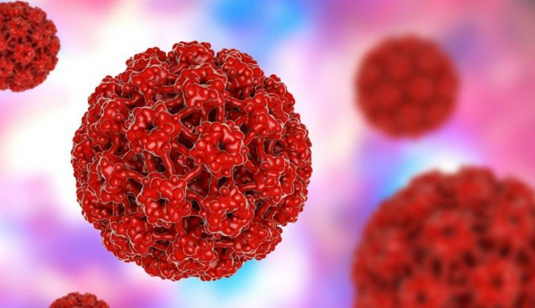 Bệnh do virus HPV gây nên có nguy hiểm không?