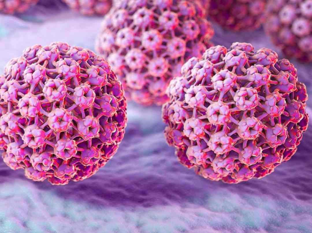 Làm thế nào để phòng ngừa lây nhiễm virus HPV?