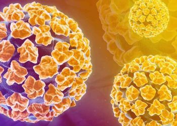 Nguyên nhân nhiễm HPV xuất phát từ những lý do nào?