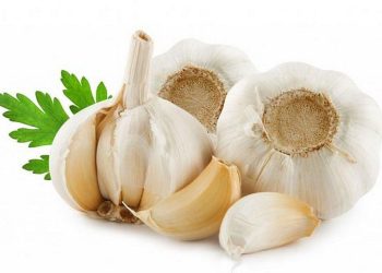 Cách điều trị bệnh lậu hiệu quả từ tỏi