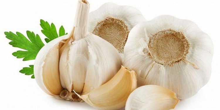 Cách điều trị bệnh lậu hiệu quả từ tỏi