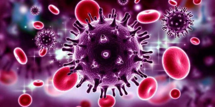 HIV là một loại virus tấn công hệ miễn dịch của con người