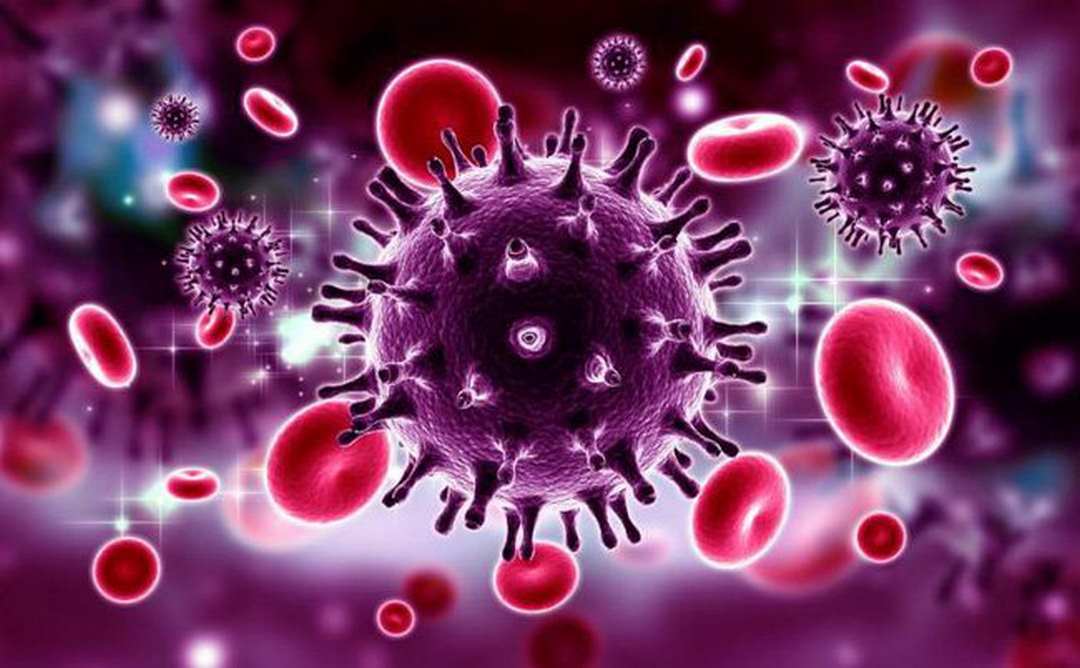 HIV là một loại virus tấn công hệ miễn dịch của con người