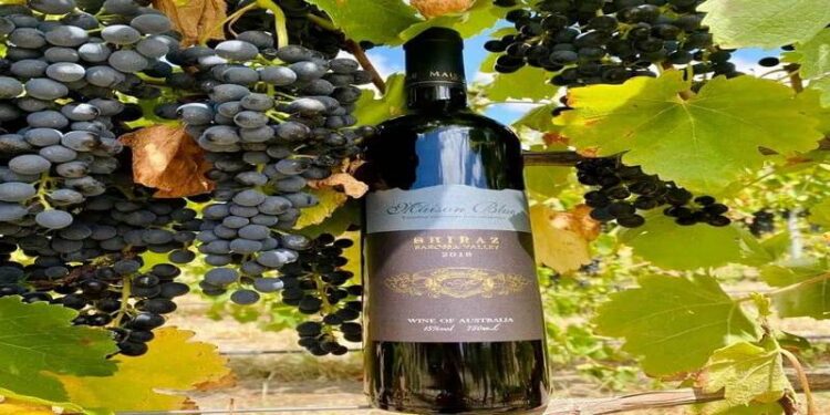 Các loại rượu vang nổi tiếng